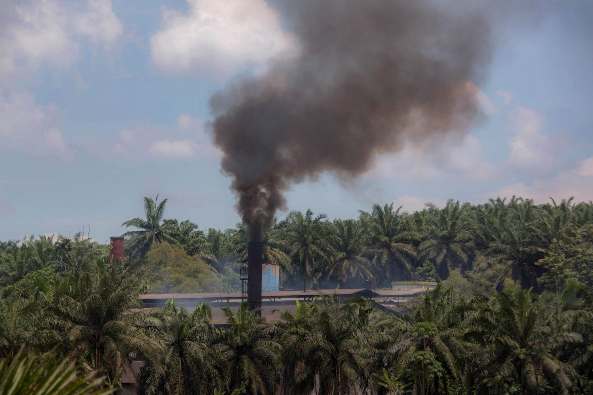 Processing mill at a palm oil plantation in Sumatra, Indonesia.